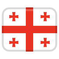 N. Basilashvili logo