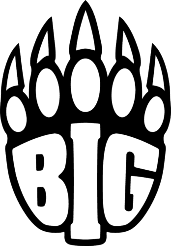 BIG logo