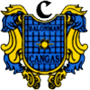 CB Cangas logo