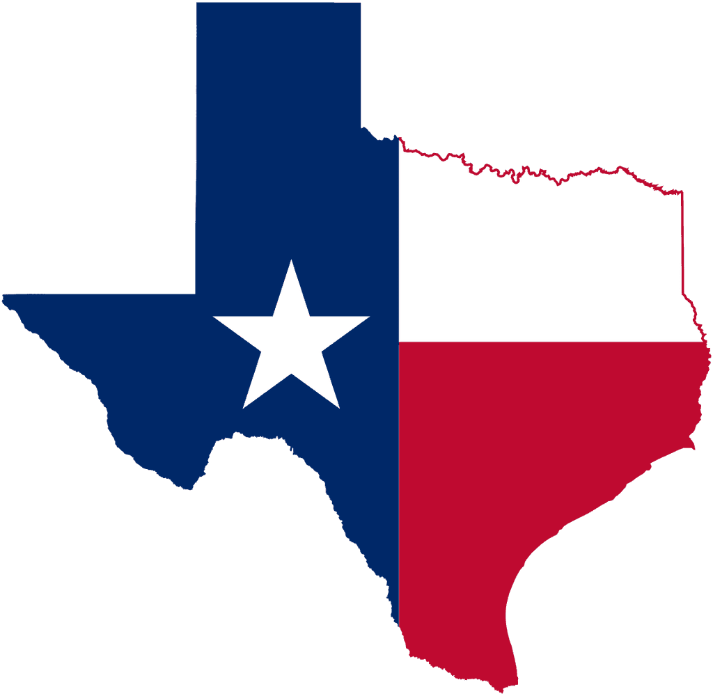 TX-35 House Election Winner
