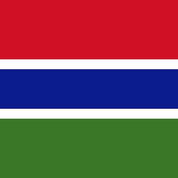 Gambia Presidential Election Winner - image