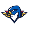 Thunderbirds logo