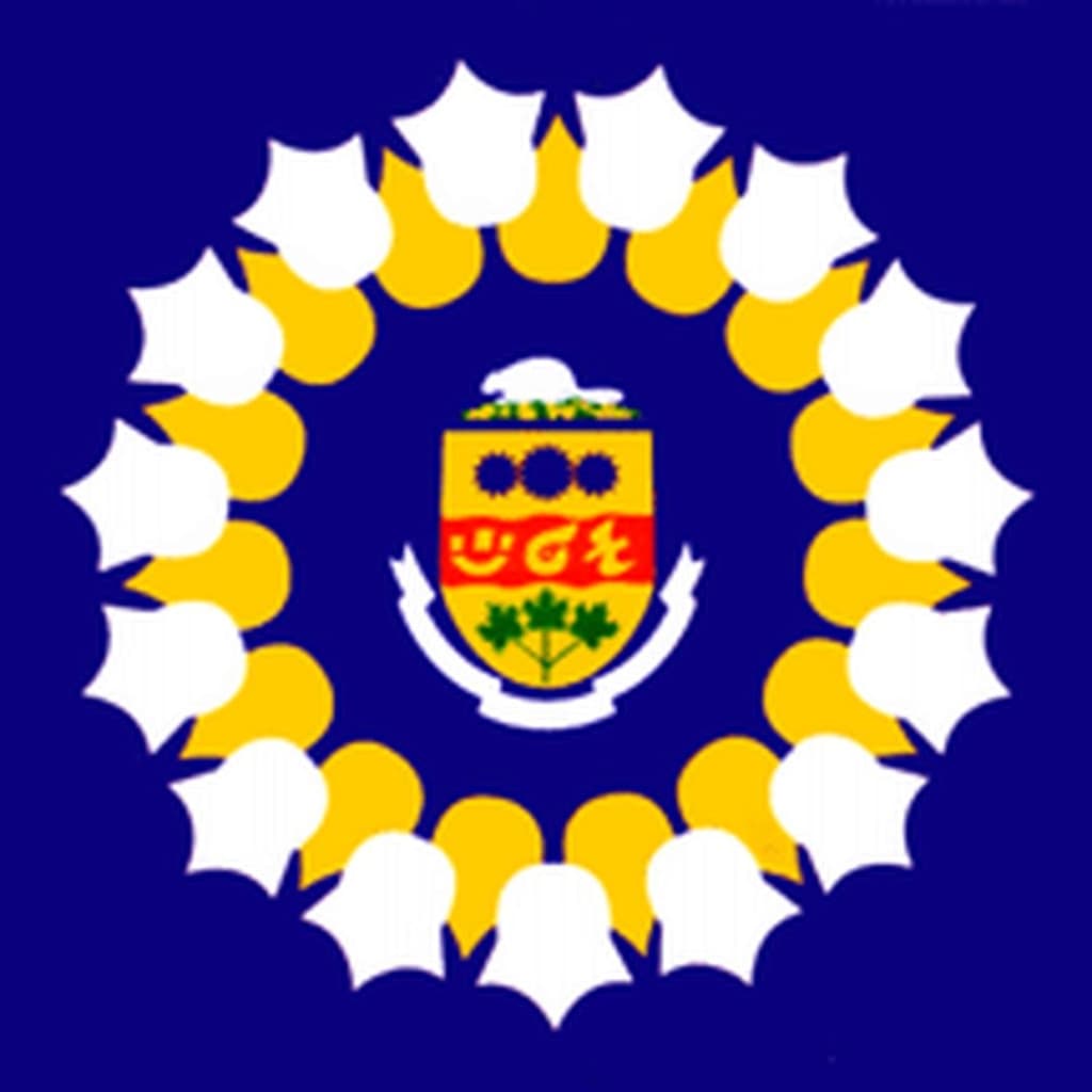 Oshawa, ON Mayoral Election Winner - image
