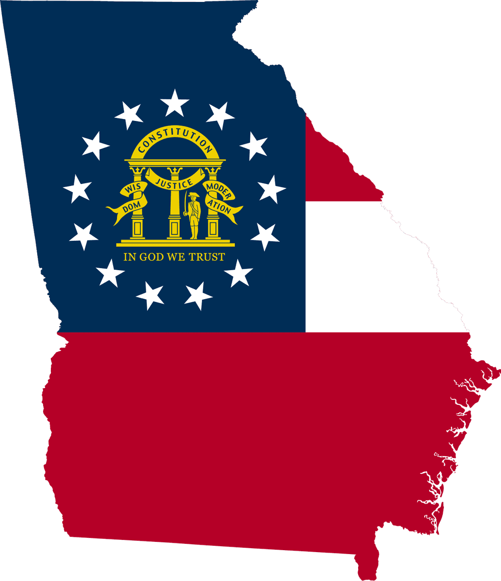 icon for Georgia Governor Election Winner