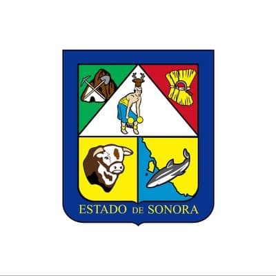 Sonora Congress Election Winner - image