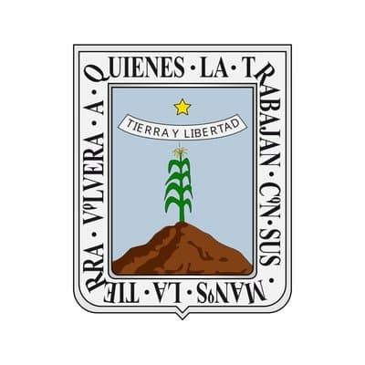 Morelos Congress Election Winner - image