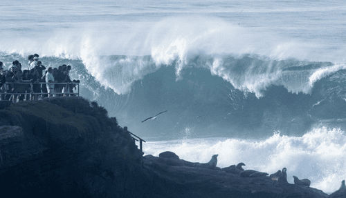Highest sea level in San Diego this winter? card icon