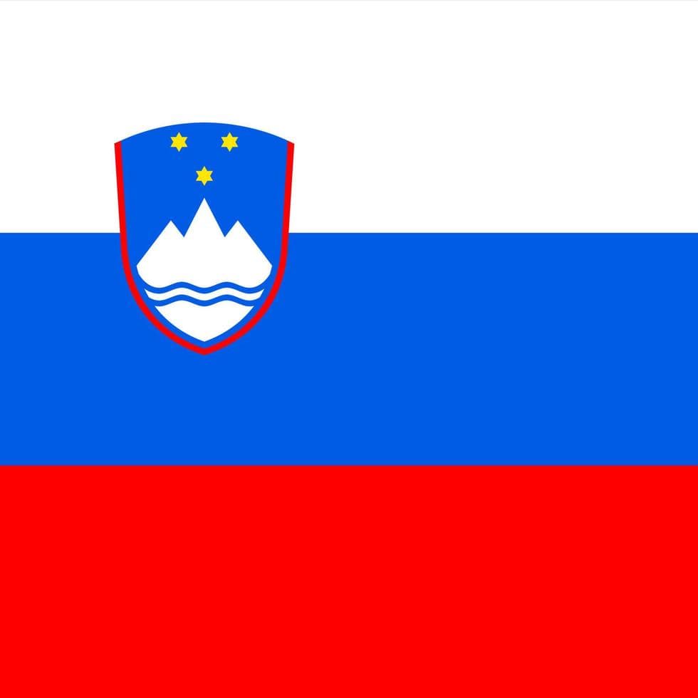 Ljubljana Mayoral Election Winner - image