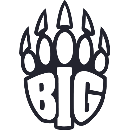 BIG Academy logo