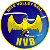 Nice Volley Ball logo