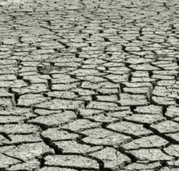 Exceptional drought (D4) by state — week of October 27, 2026 card icon